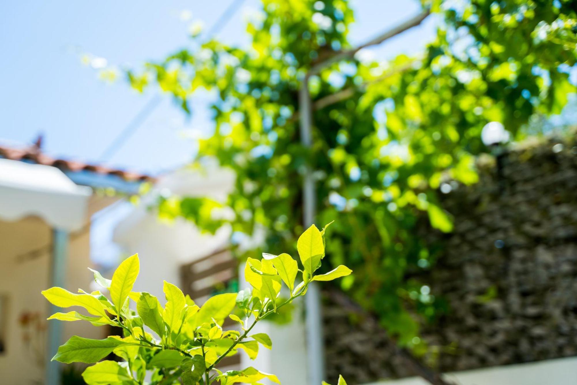 The Dreamhouse Athens Airport Apartment Artemida  Exterior foto